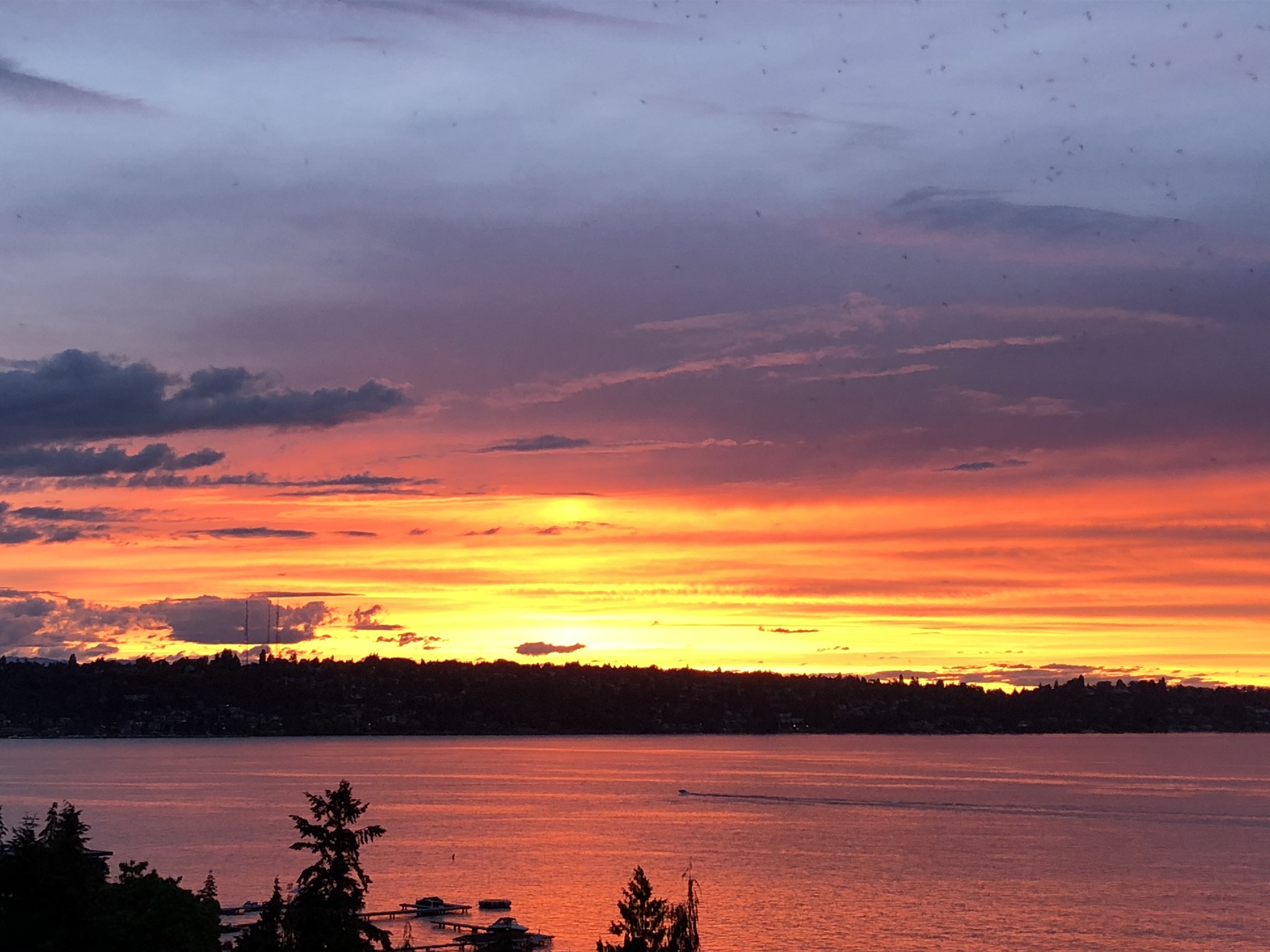 Photograph of a Sunset in Seattle.